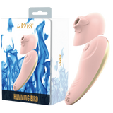 Hummingbird Tapping/Vibrating