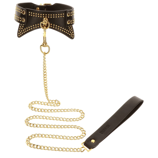Studded Collar and Leash
